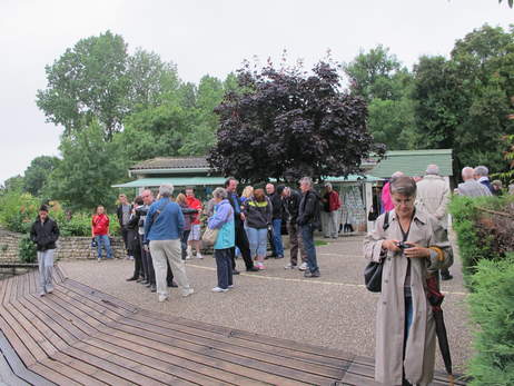 Visite des Marais Poitevin