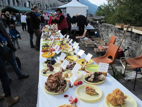 2015-10-18-expo myco à la fête du cidre à AITON