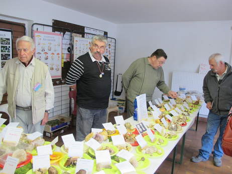 2015-10-18-expo myco à la fête du terroir à Chapareillan